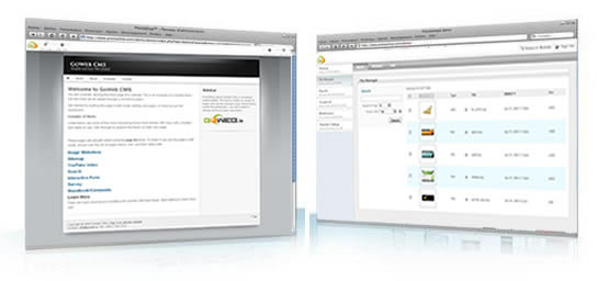 CONTENT MANAGEMENT SYSTEM CONTENT MANAGEMENT SYSTEM